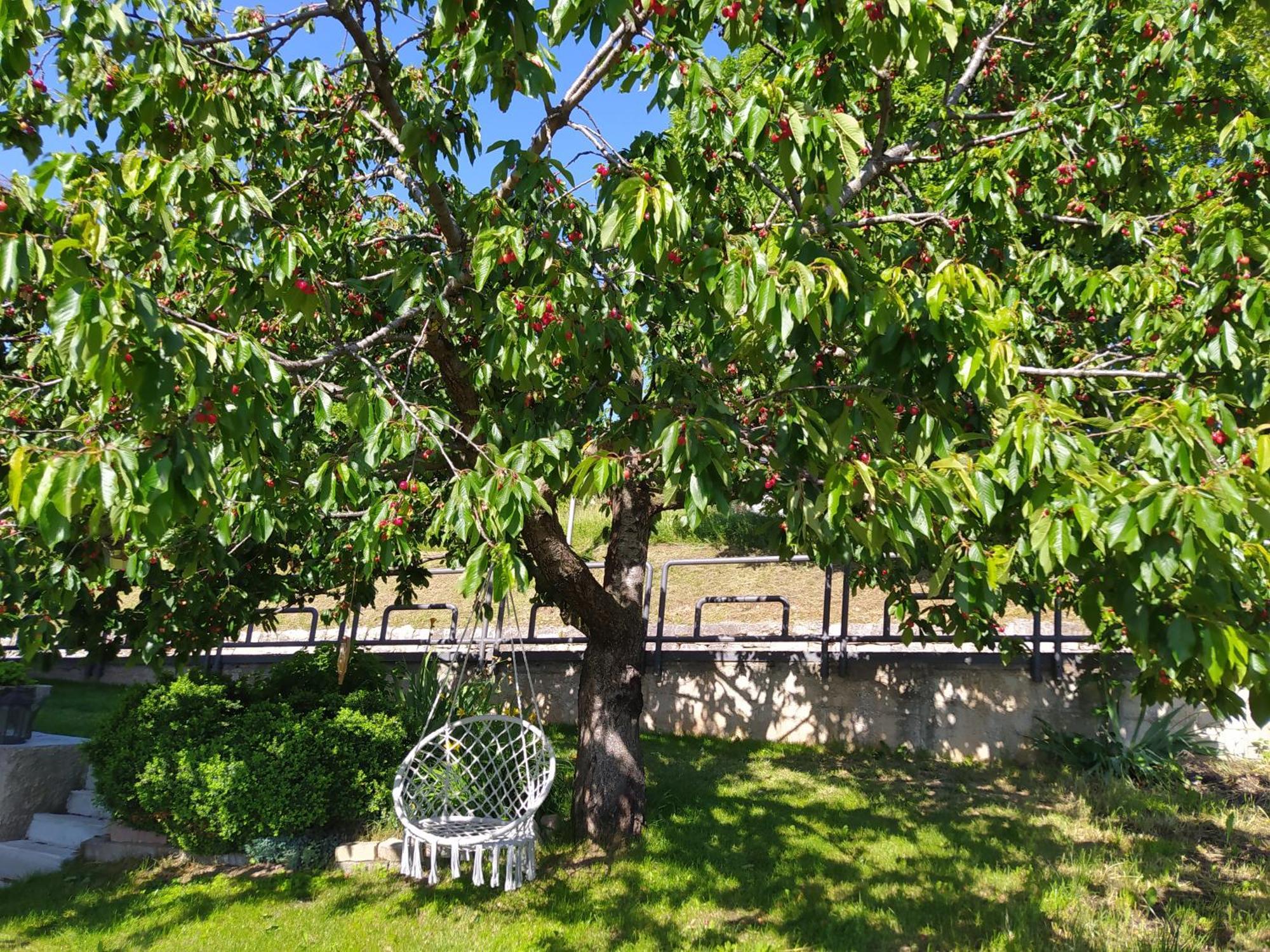 Апартаменти Casa Zucol Sarnonico Екстер'єр фото